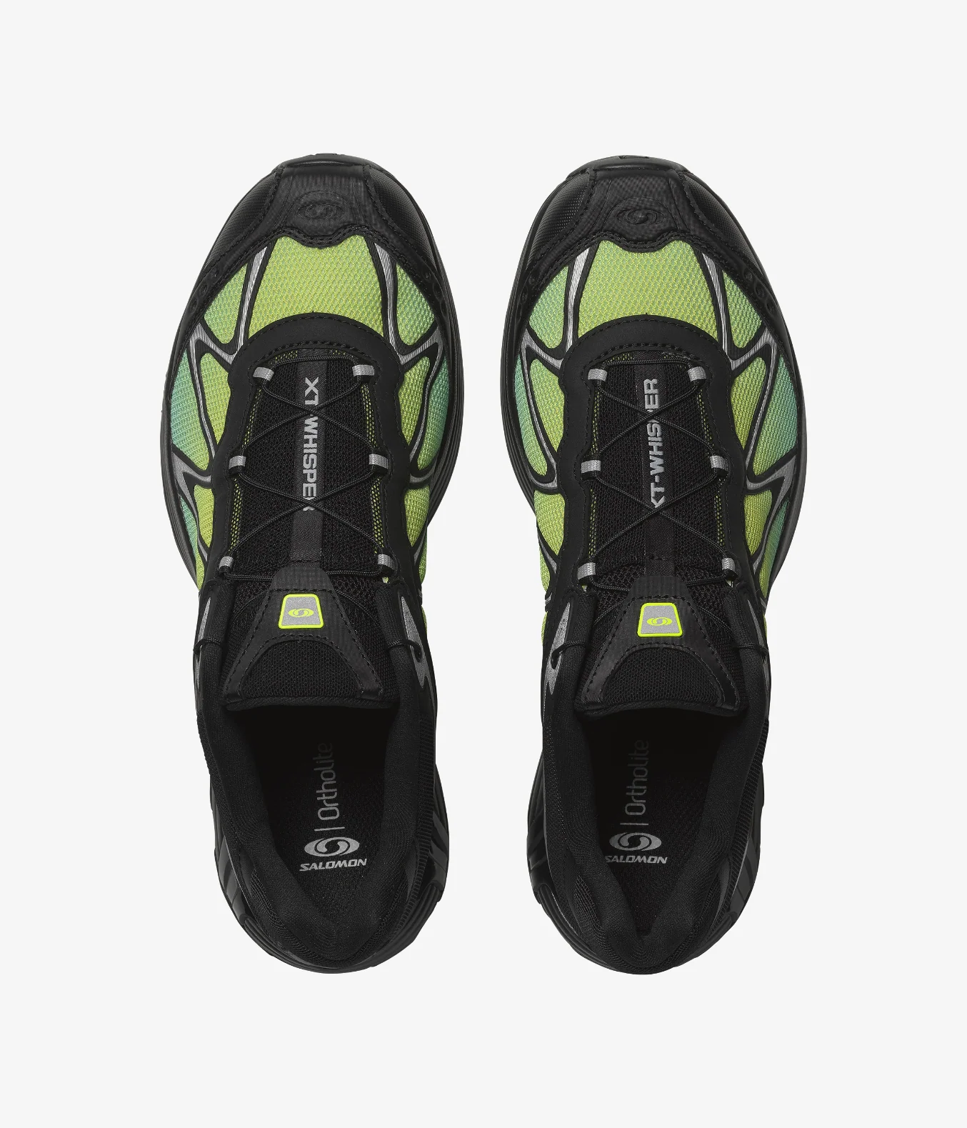 XT-WHISPER - Image 3